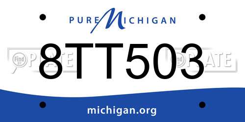 8TT503 Michigan License Plate