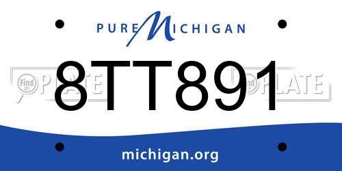 8TT891 Michigan License Plate