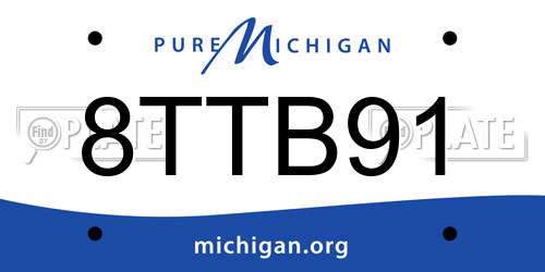 8TTB91 Michigan License Plate