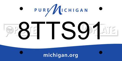 8TTS91 Michigan License Plate