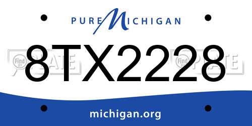 8TX2228 Michigan License Plate