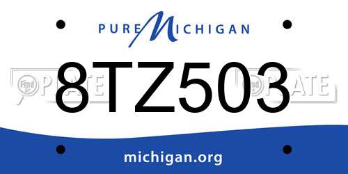 8TZ503 Michigan License Plate