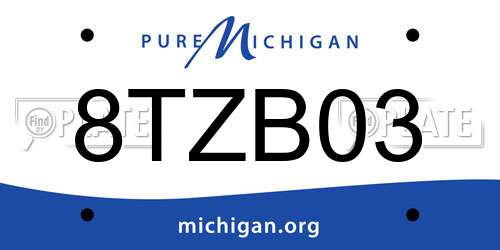 8TZB03 Michigan License Plate