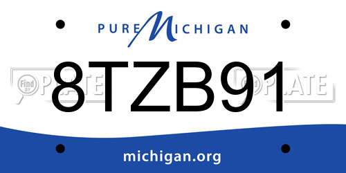8TZB91 Michigan License Plate