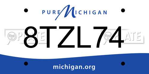 8TZL74 Michigan License Plate