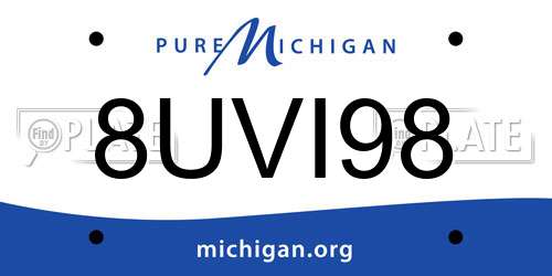 8UVI98 Michigan License Plate