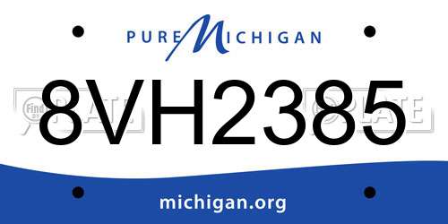 8VH2385 Michigan License Plate