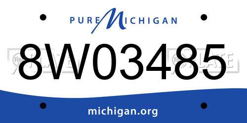 8W03485 Michigan License Plate