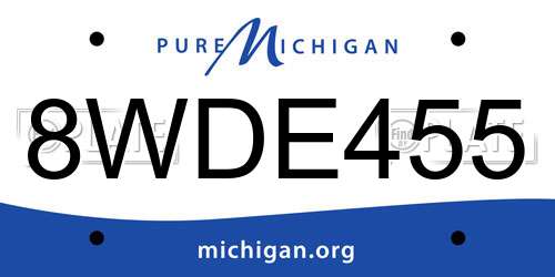8WDE455 Michigan License Plate