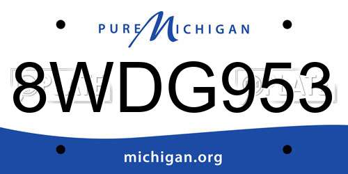 8WDG953 Michigan License Plate