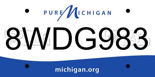 8WDG983 Michigan License Plate