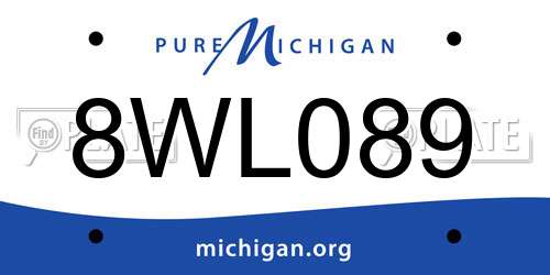 8WL089 Michigan License Plate