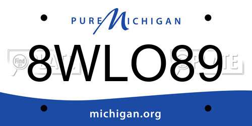 8WLO89 Michigan License Plate