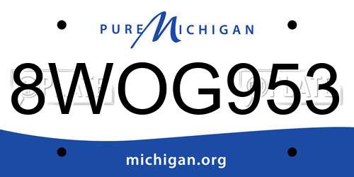 8WOG953 Michigan License Plate