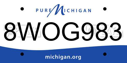 8WOG983 Michigan License Plate