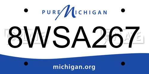 8WSA267 Michigan License Plate