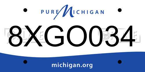 8XGO034 Michigan License Plate