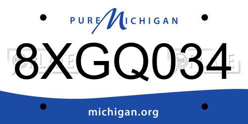8XGQ034 Michigan License Plate