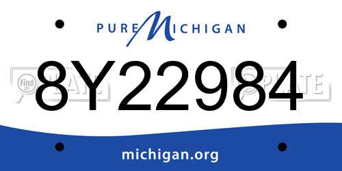 8Y22984 Michigan License Plate