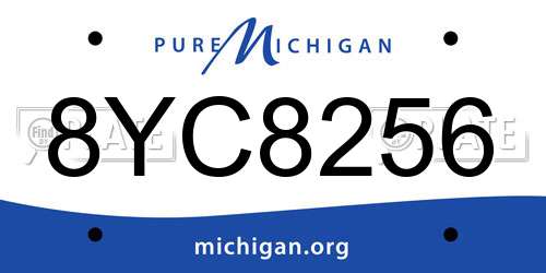 8YC8256 Michigan License Plate