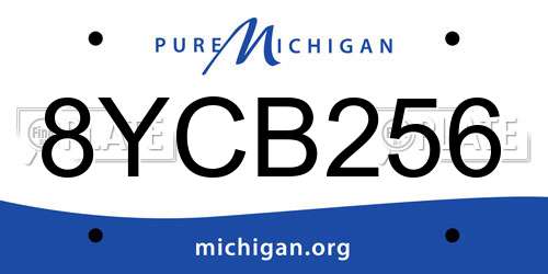 8YCB256 Michigan License Plate