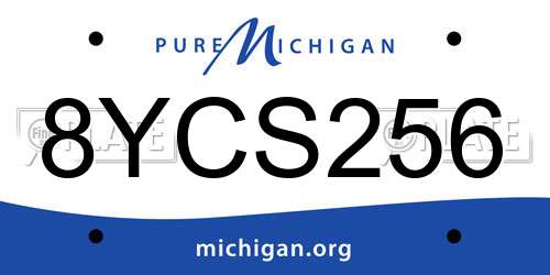 8YCS256 Michigan License Plate