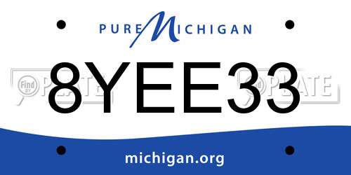 8YEE33 Michigan License Plate