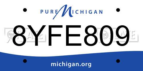 8YFE809 Michigan License Plate