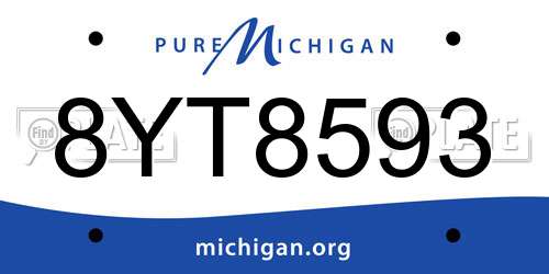 8YT8593 Michigan License Plate