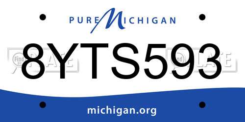 8YTS593 Michigan License Plate