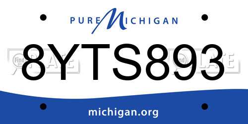8YTS893 Michigan License Plate