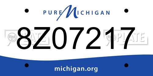 8Z07217 Michigan License Plate