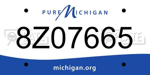 8Z07665 Michigan License Plate