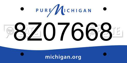 8Z07668 Michigan License Plate