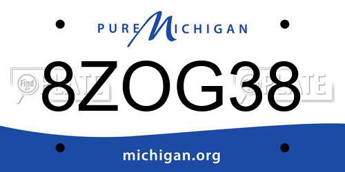8ZOG38 Michigan License Plate