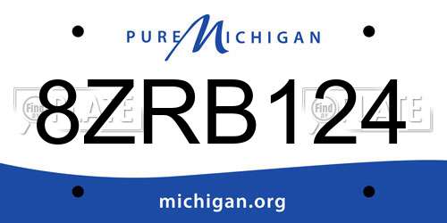 8ZRB124 Michigan License Plate