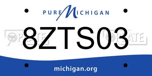 8ZTS03 Michigan License Plate