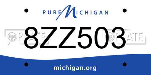 8ZZ503 Michigan License Plate