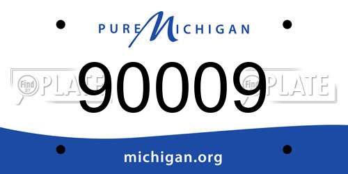 90009 Michigan License Plate