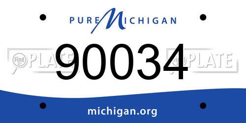 90034 Michigan License Plate