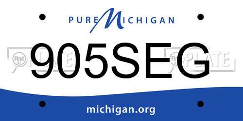 905SEG Michigan License Plate