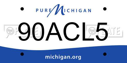 90ACL5 Michigan License Plate