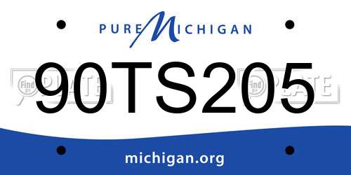 90TS205 Michigan License Plate