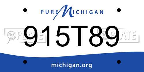 915T89 Michigan License Plate