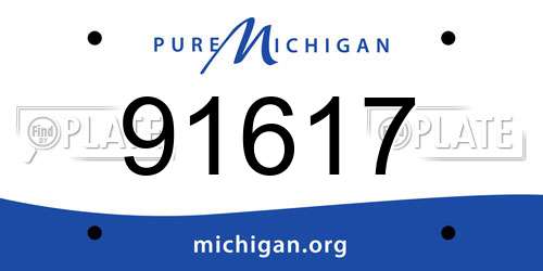 91617 Michigan License Plate