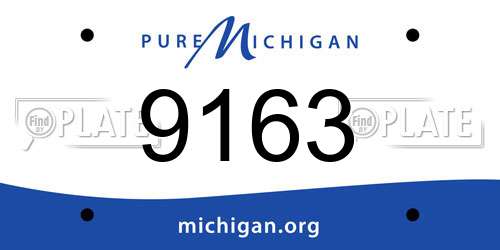 9163 Michigan License Plate