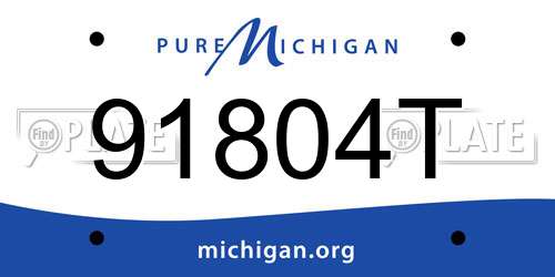 91804T Michigan License Plate