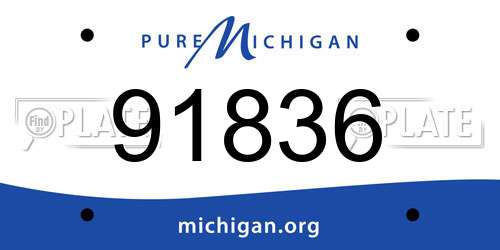 91836 Michigan License Plate