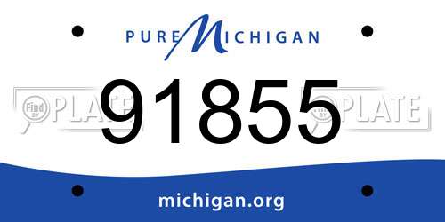 91855 Michigan License Plate