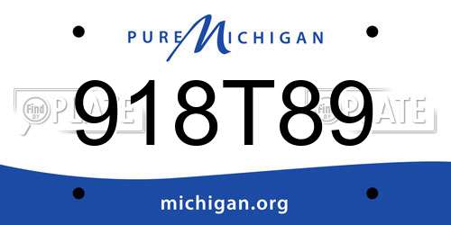 918T89 Michigan License Plate